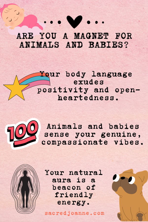 animals-baby-magnets