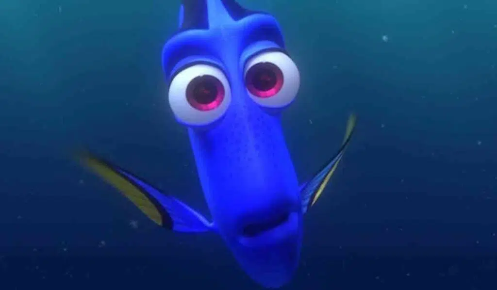 fool archetype dory