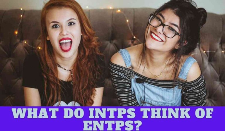 What Do INTPs Think Of ENTPs?