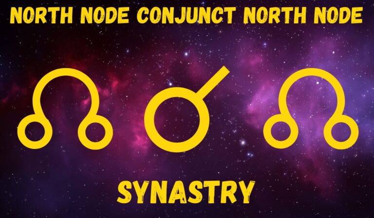 North Node Conjunct North Node Synastry: Love & Friendships Explained