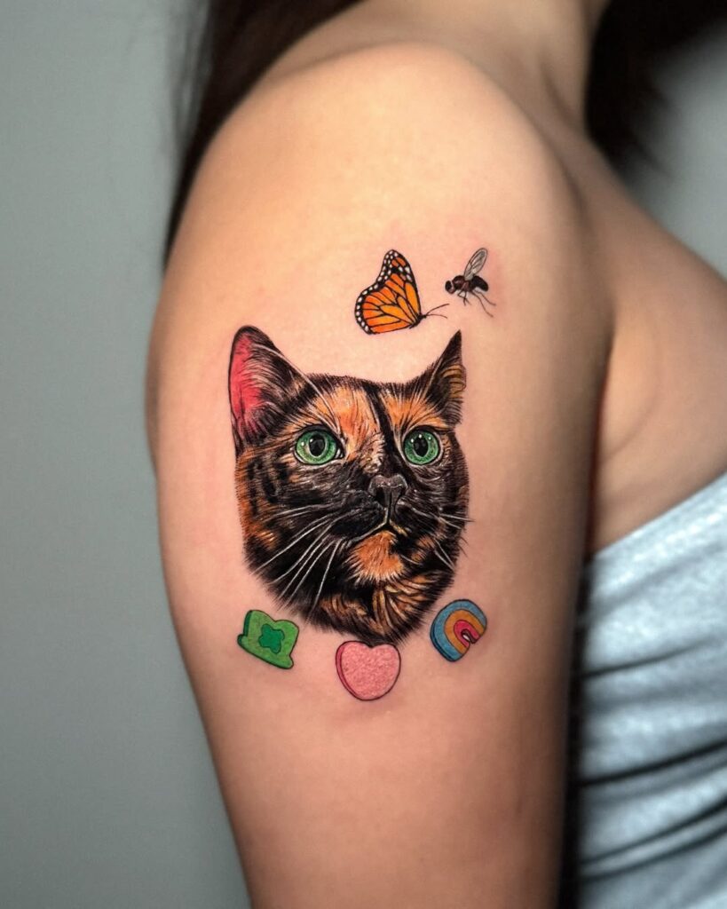 color-butterfly-cat