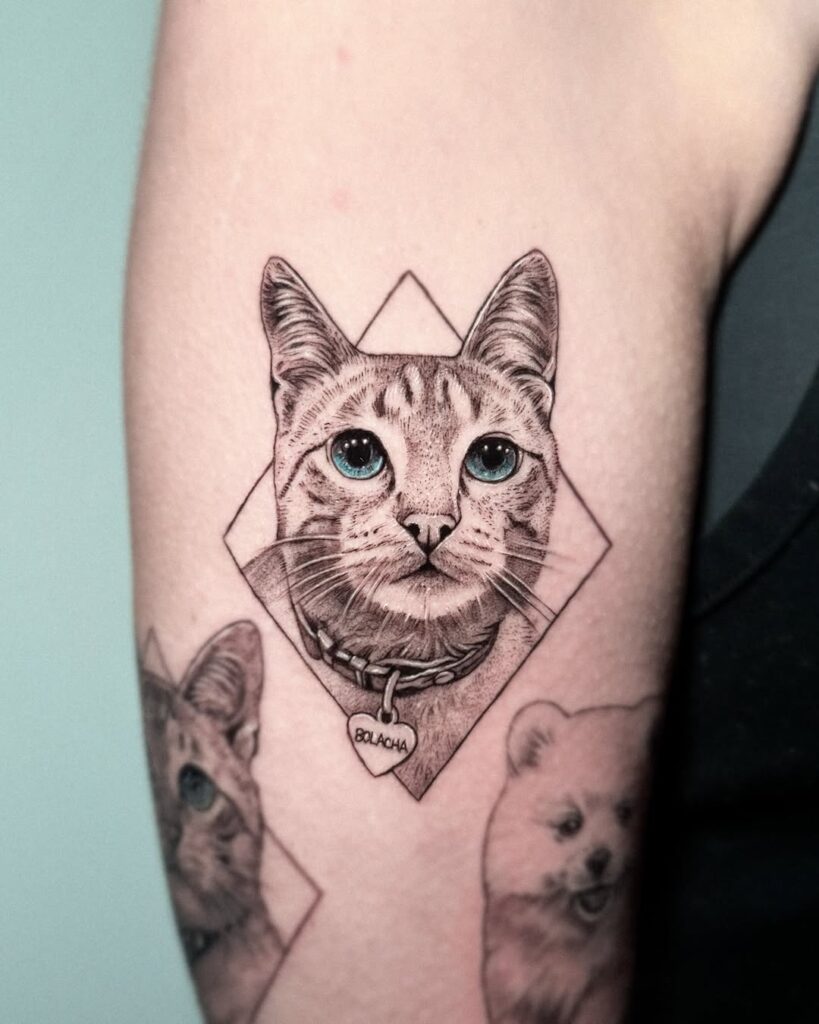 diamond-cat-portrait