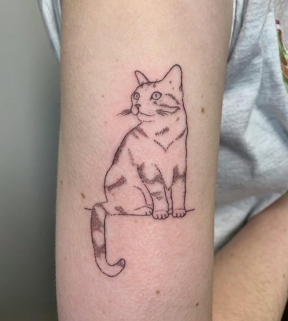 fine-line-tabby-cat-tattoo