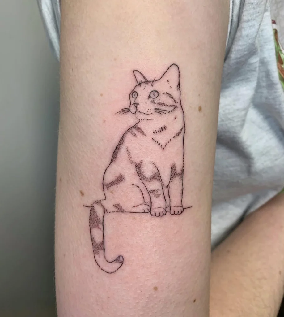 fine-line-tabby-cat-tattoo