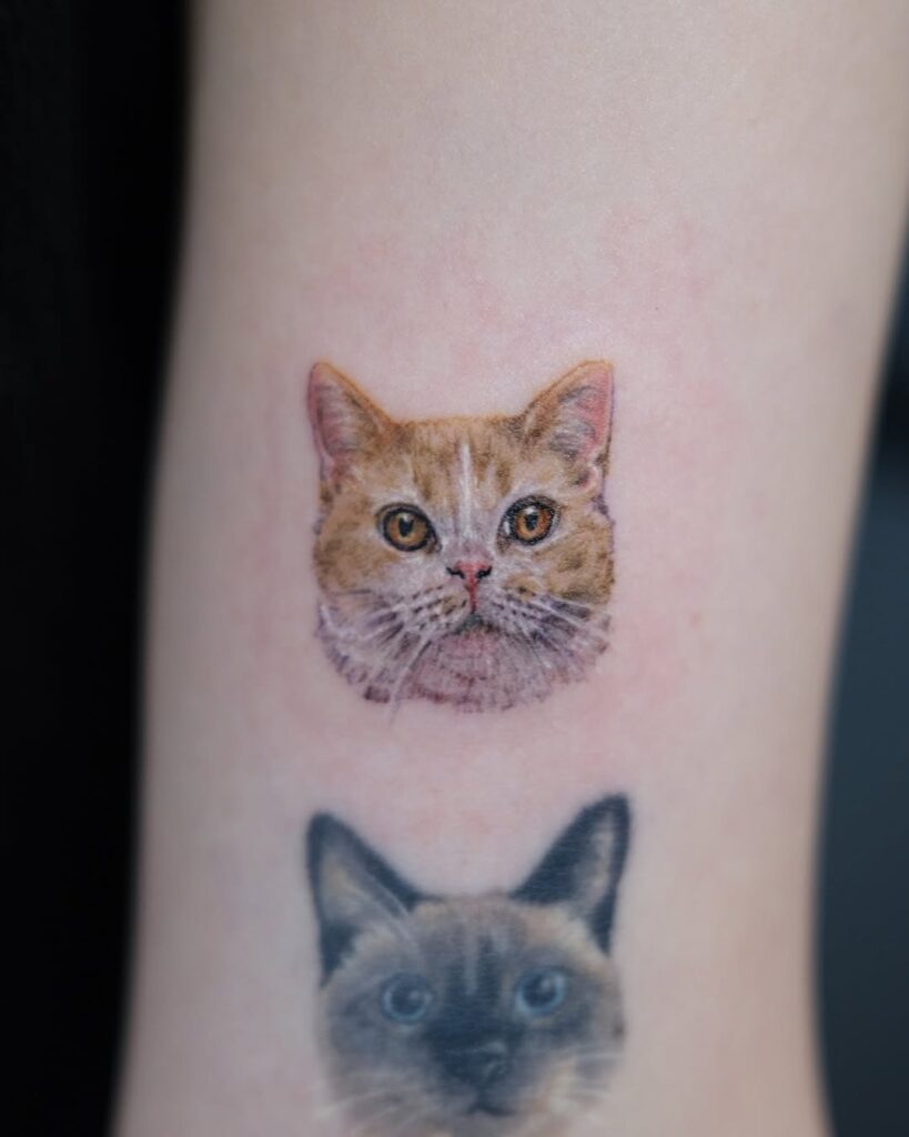 ginger-cat-realism-double