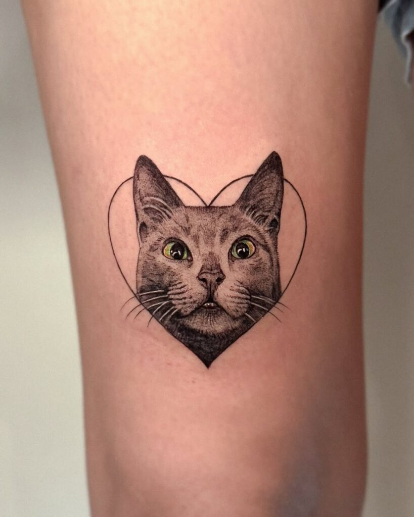 heart-cat