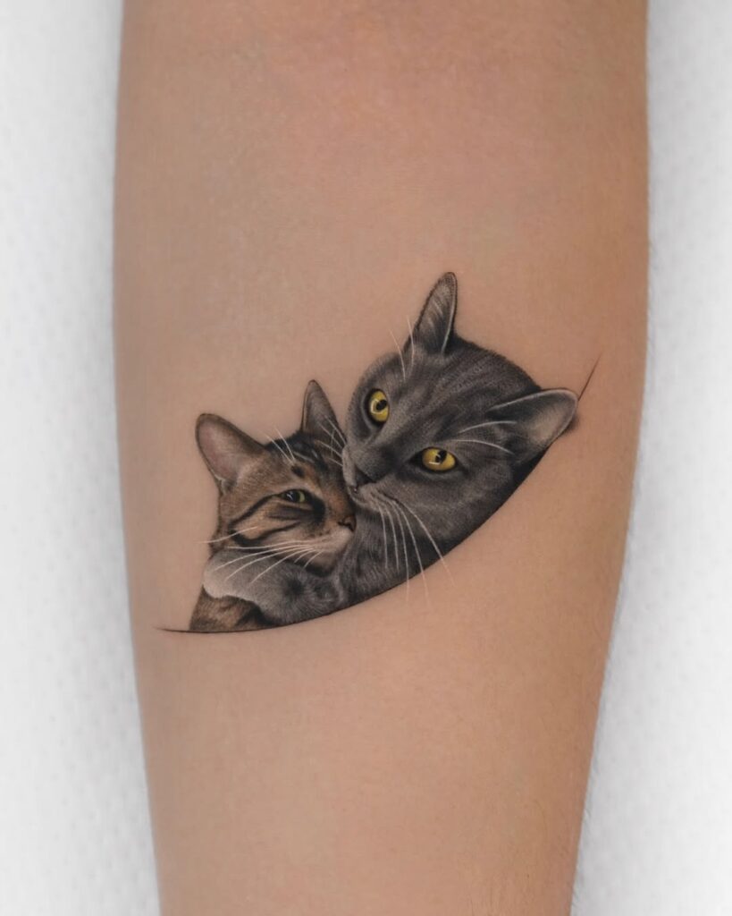 sibling-cats-snuggling-tattoo