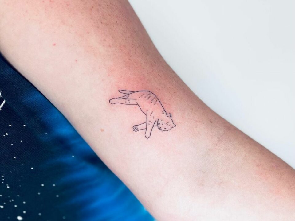 simple-sleepy-cat-outline-tattoo