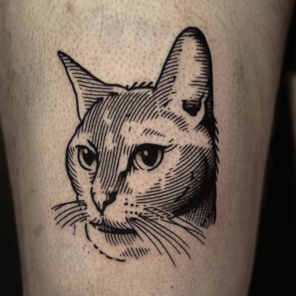 single-cat-linework-tattoo