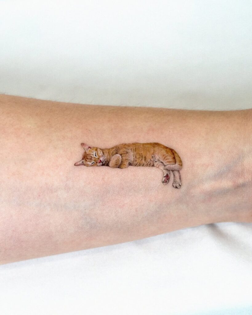 sleeping-cat-tattoo