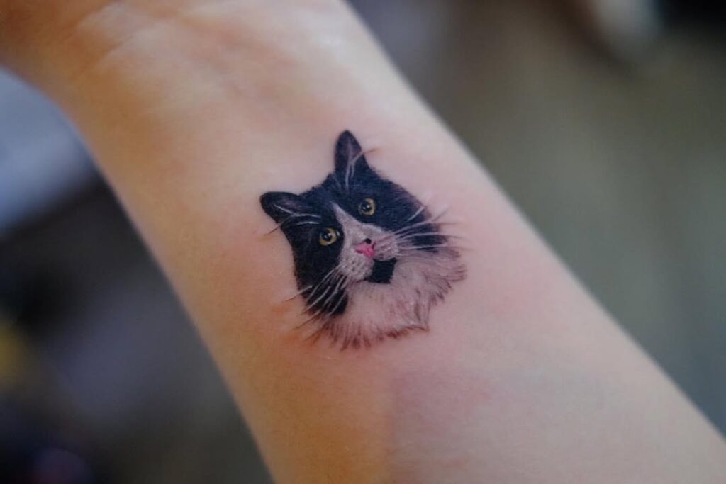 tuxedo-cat-portrait-tattoo