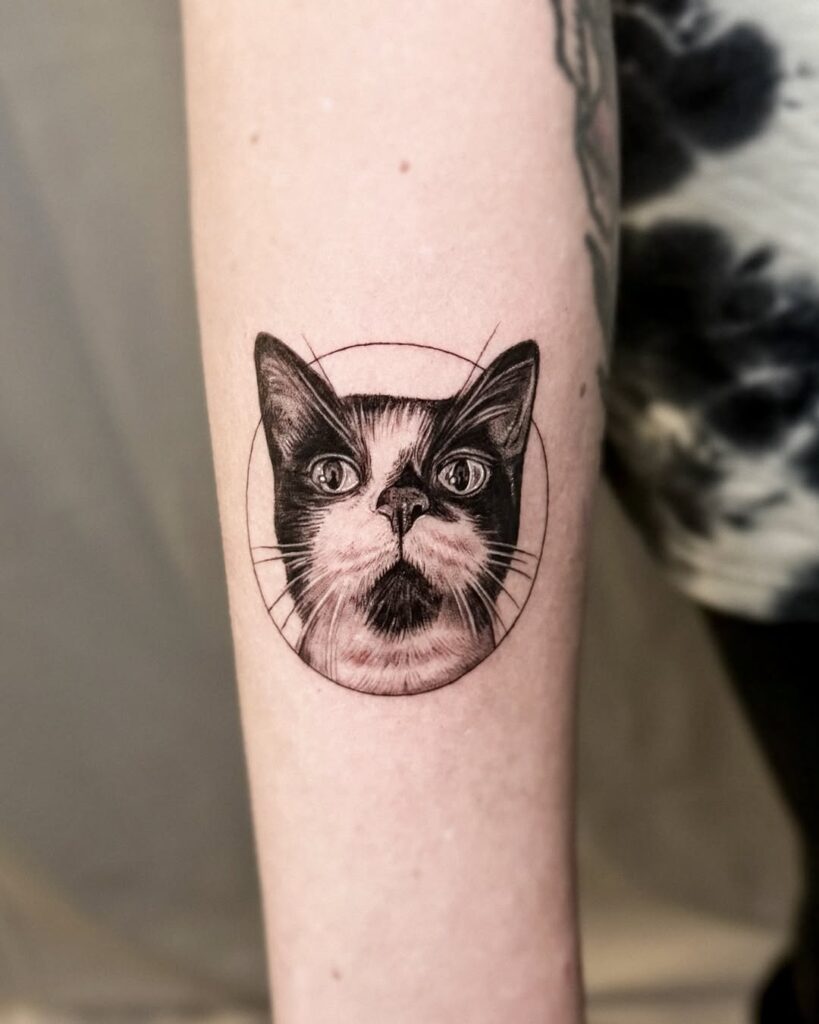 tuxedo-cat-realism-circle