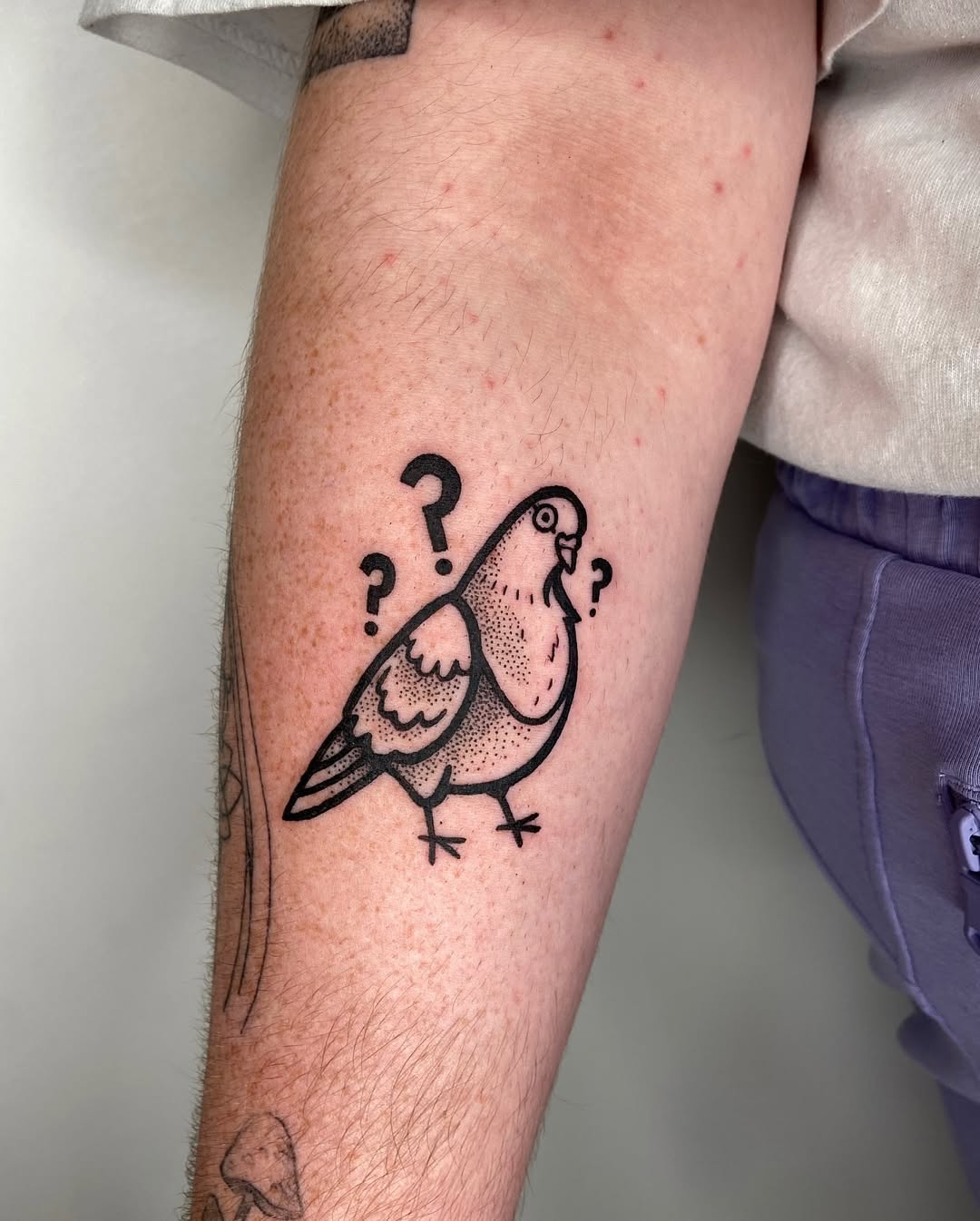 Pigeon tattoo with playful question marks