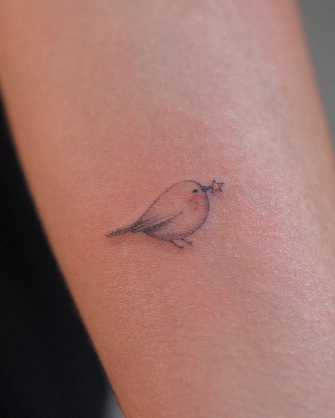 Whimsical bird with a star in its beak