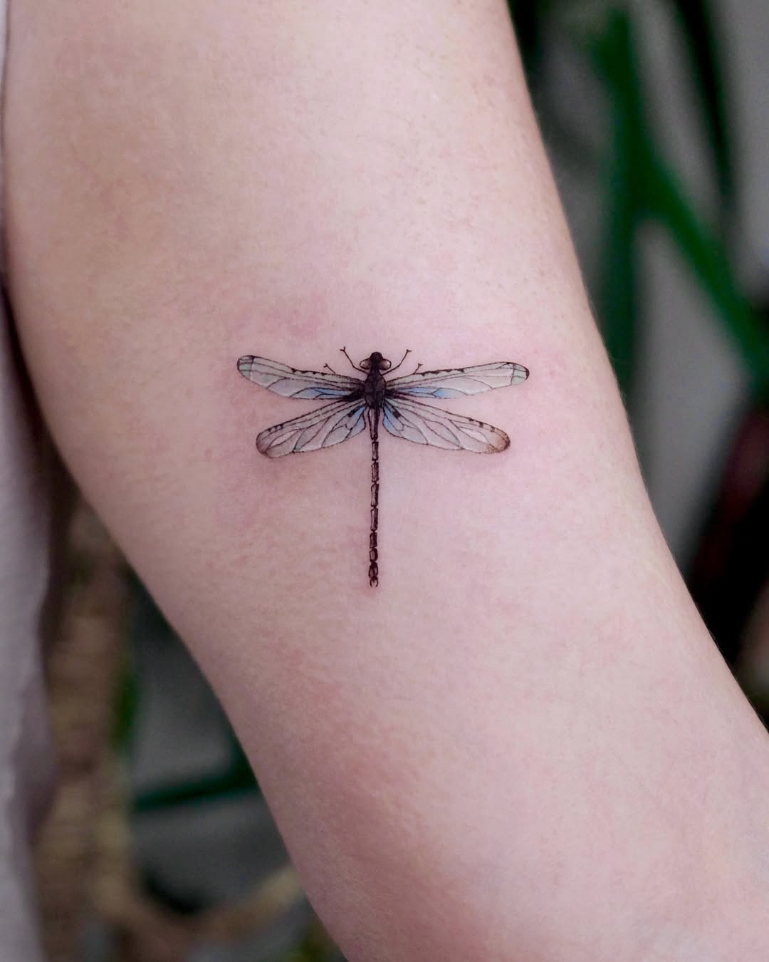 Stunning Dragonfly Tattoo on Smooth Skin