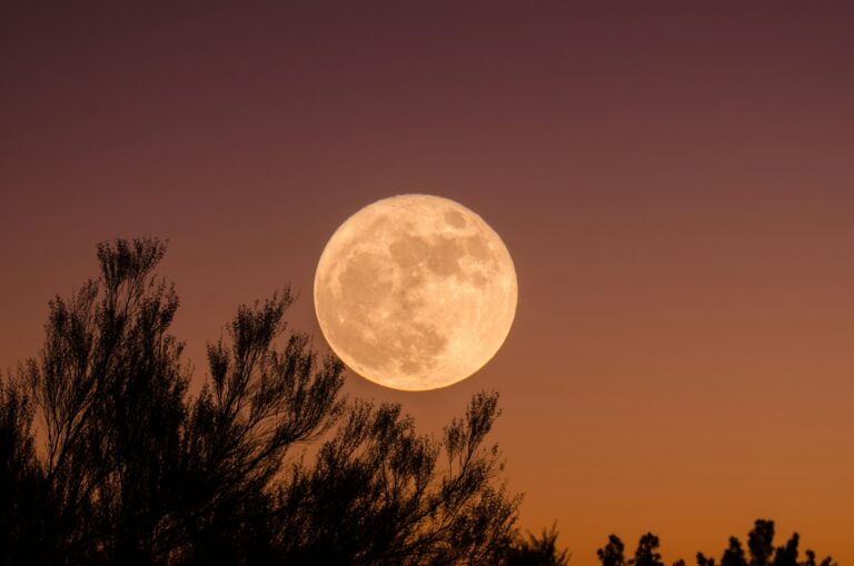 Born Under a Full Moon? Here’s What It Means for Your Destiny