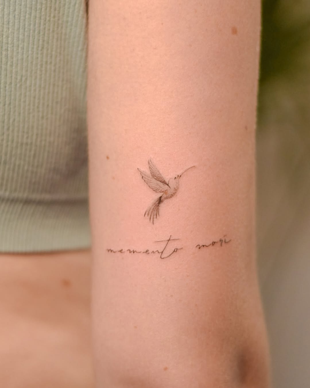 Elegant hummingbird with memento mori script