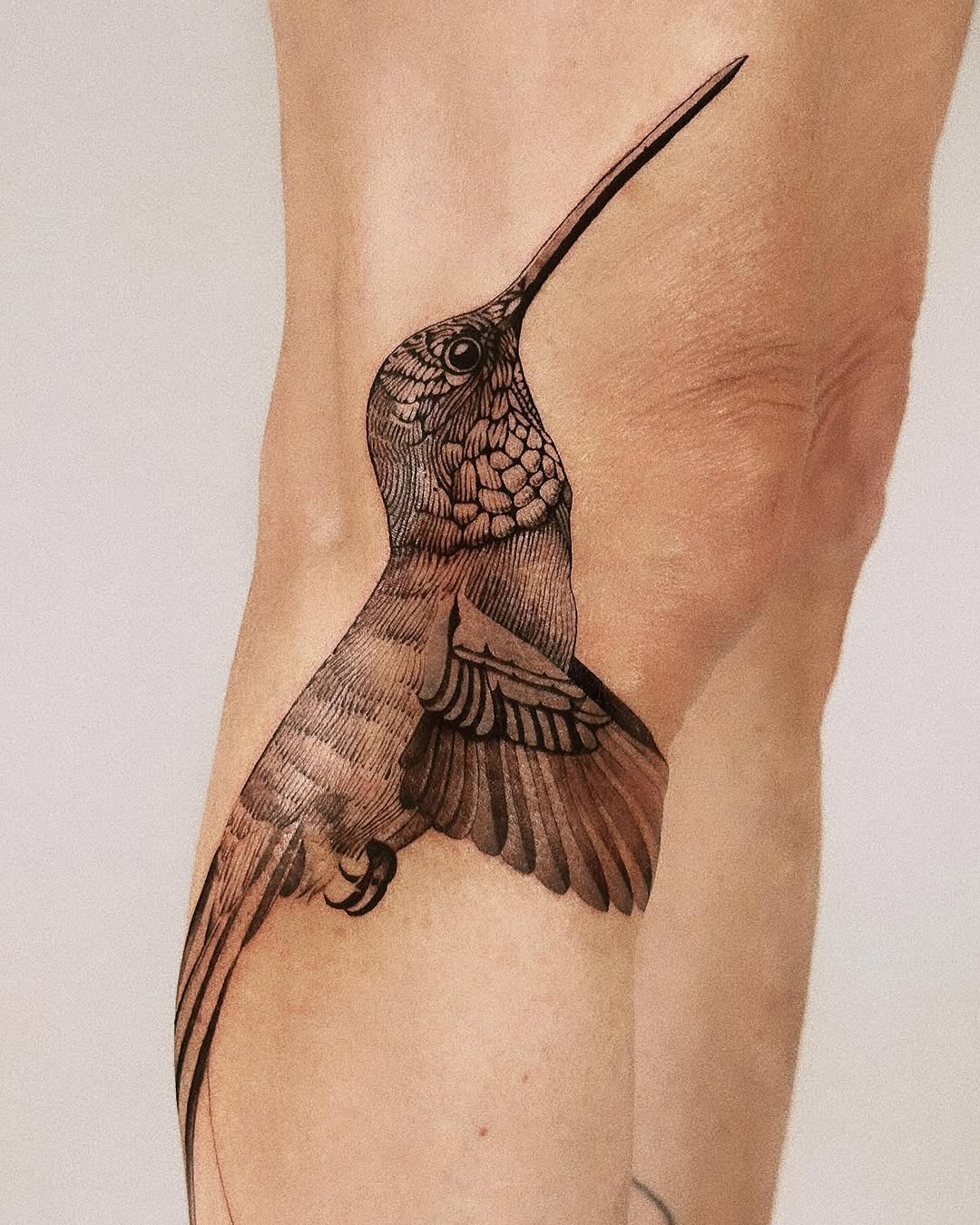 Intricate hummingbird tattoo with floral elements