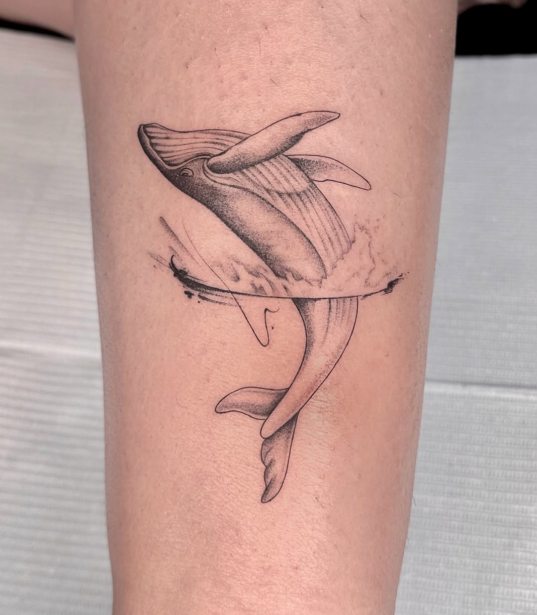 Stunning minimalist whale tattoo in motion