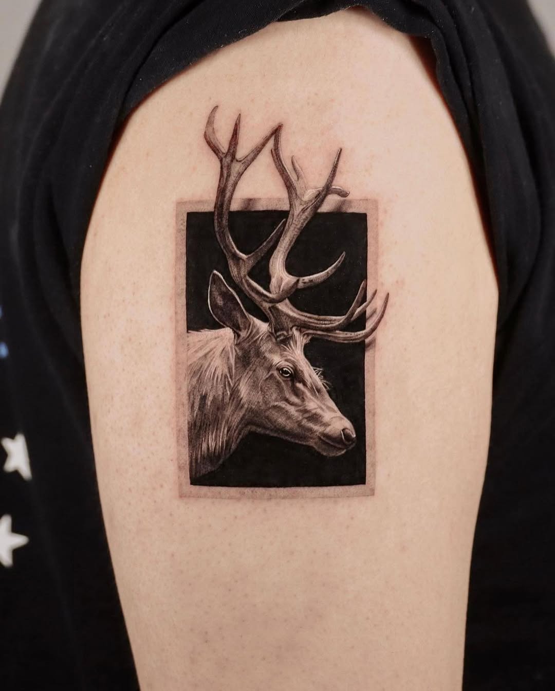 Majestic stag tattoo within a frame