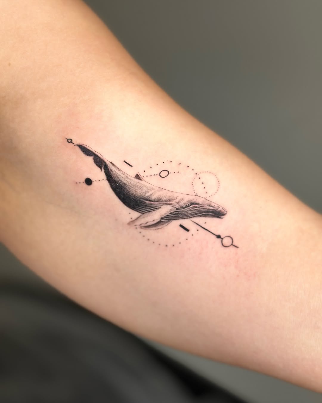 Elegant Fine Line Whale Tattoo On Arm