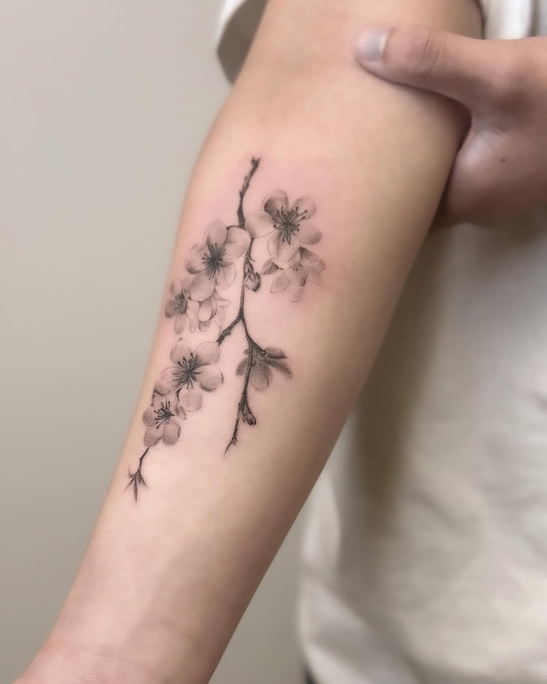 Elegantly detailed cherry blossom tattoo on arm