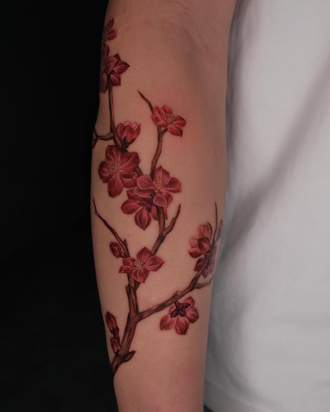 Stunning cherry blossom tattoo on forearm