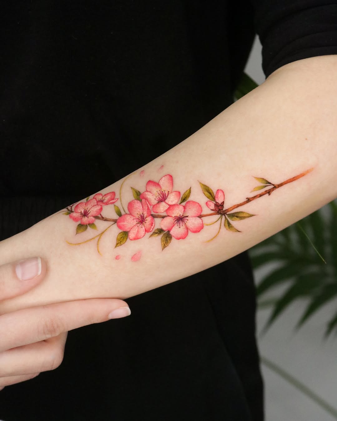 Graceful cherry blossom tattoo on forearm