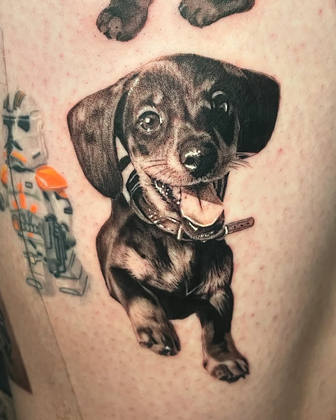 Detailed dachshund tattoo showcasing playful expression