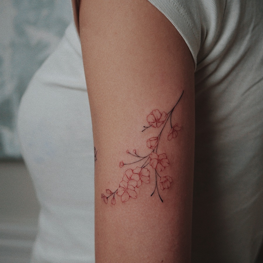 Delicate Cherry Blossoms Adorning the Arm