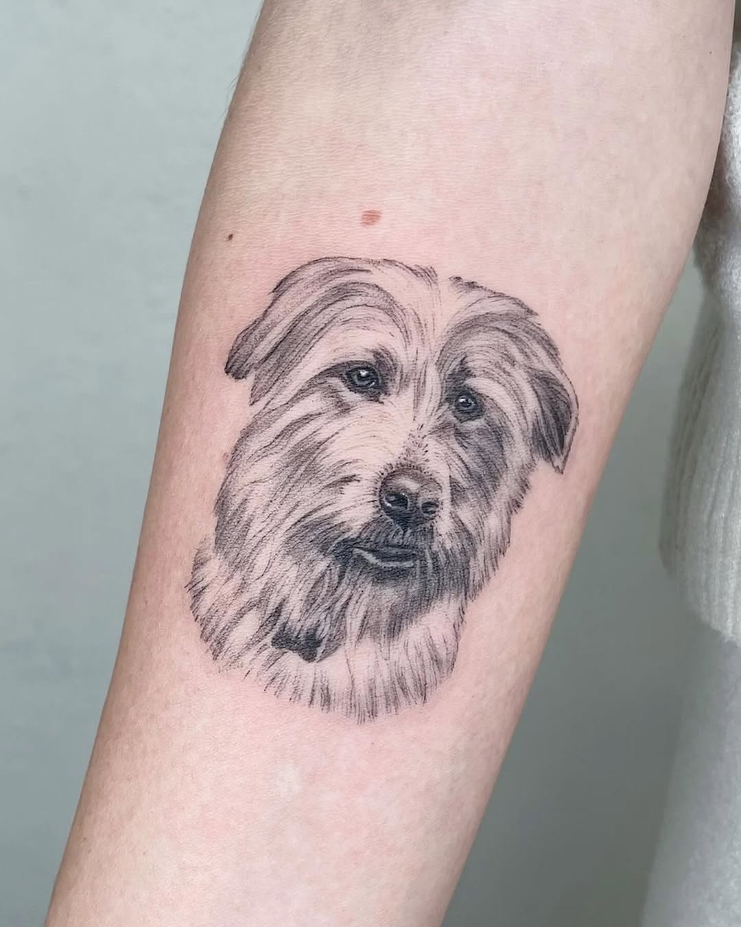 Stunning black and gray dog portrait tattoo