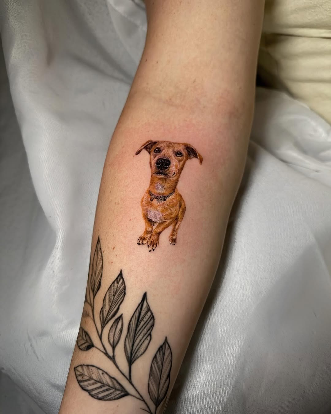 Charming brown dog tattoo on forearm