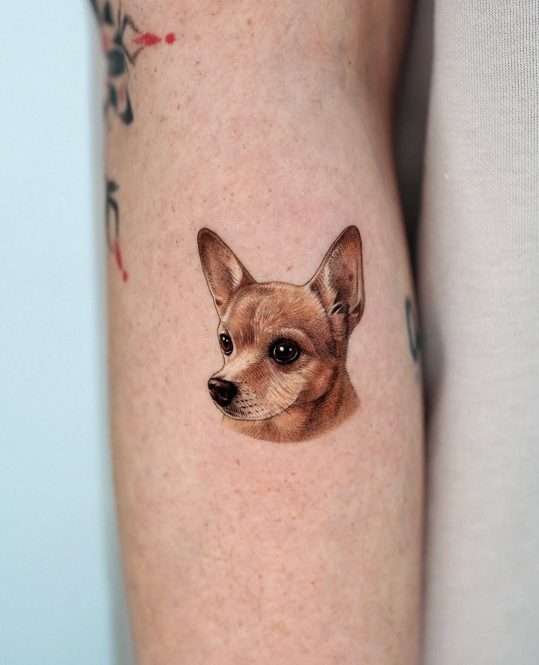 Realistic chihuahua tattoo capturing true essence