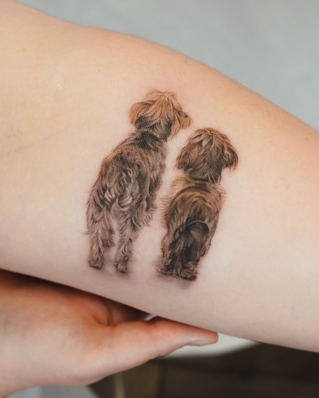 Beautifully detailed dog silhouette tattoos on arm