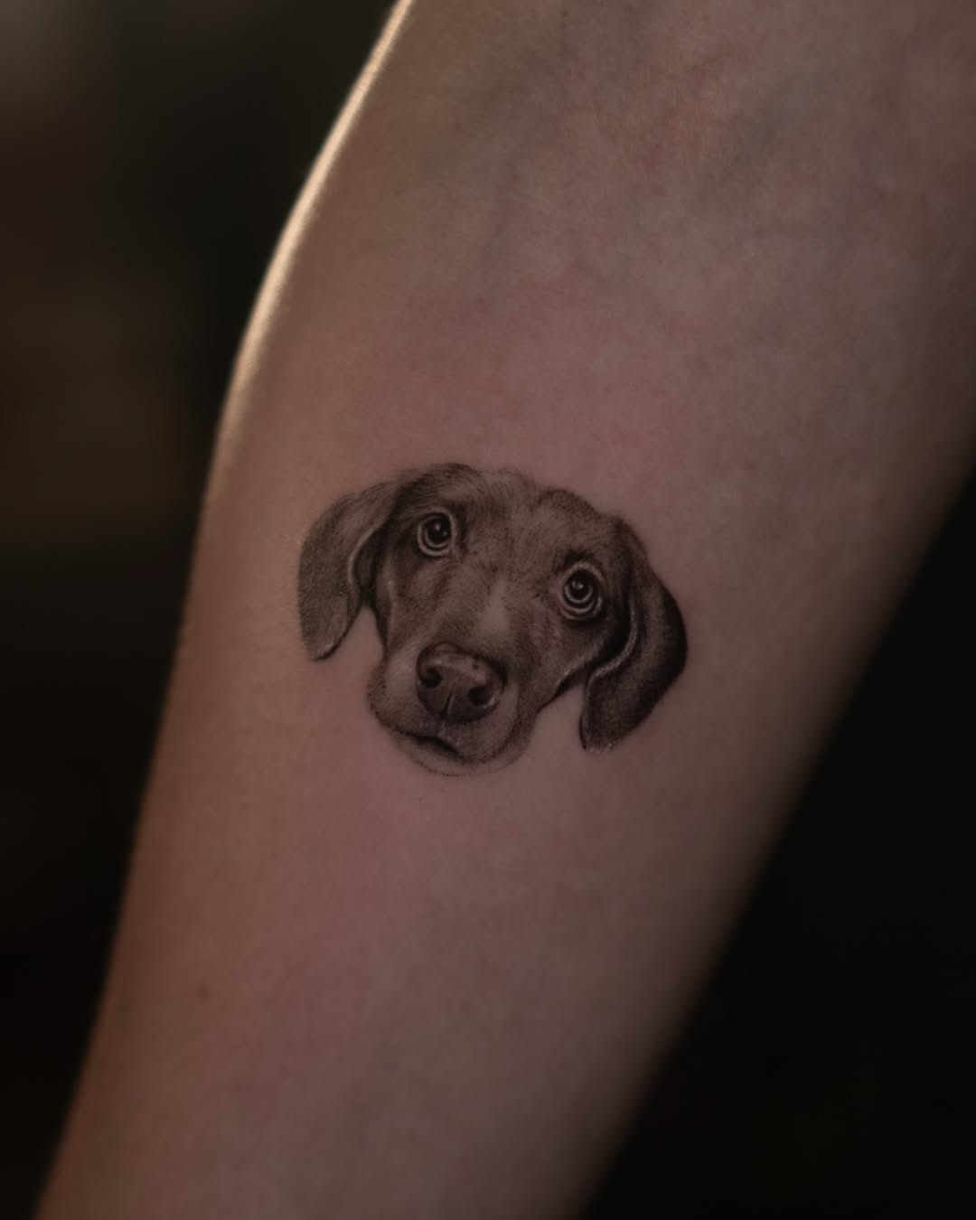 Realistic Dog Portrait Tattoo on Forearm