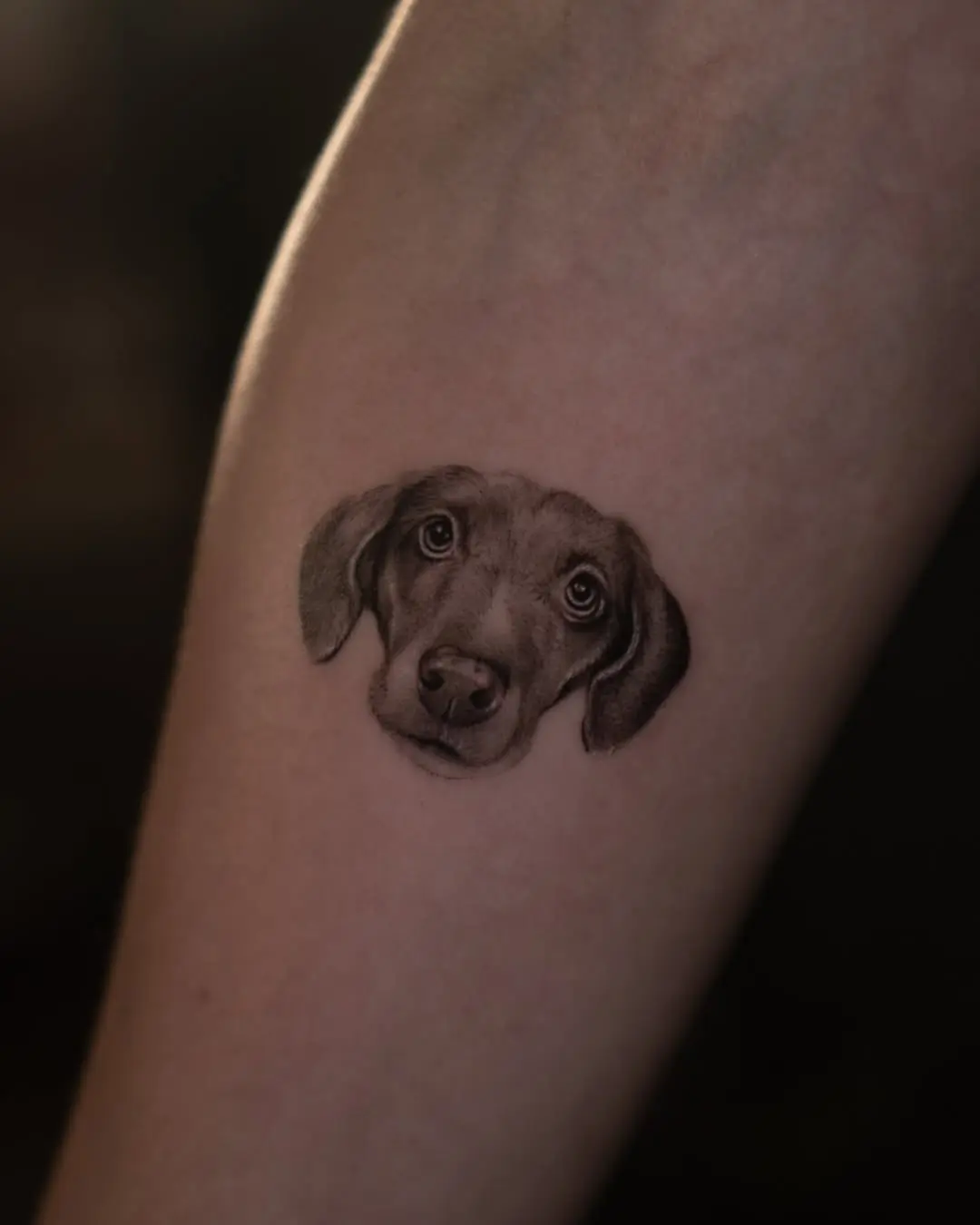 Realistic Dog Portrait Tattoo on Forearm