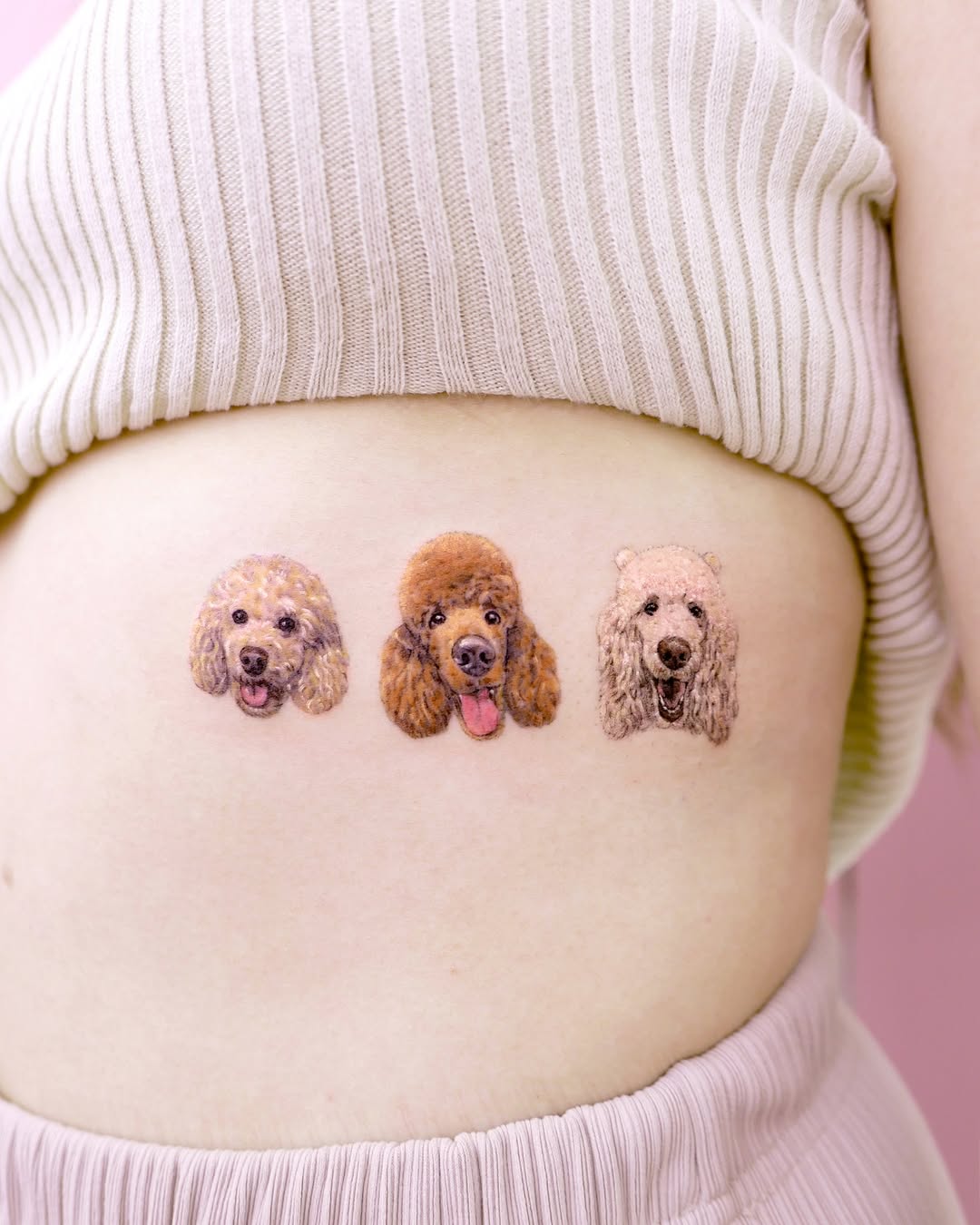 Charming poodle portraits in vibrant detail