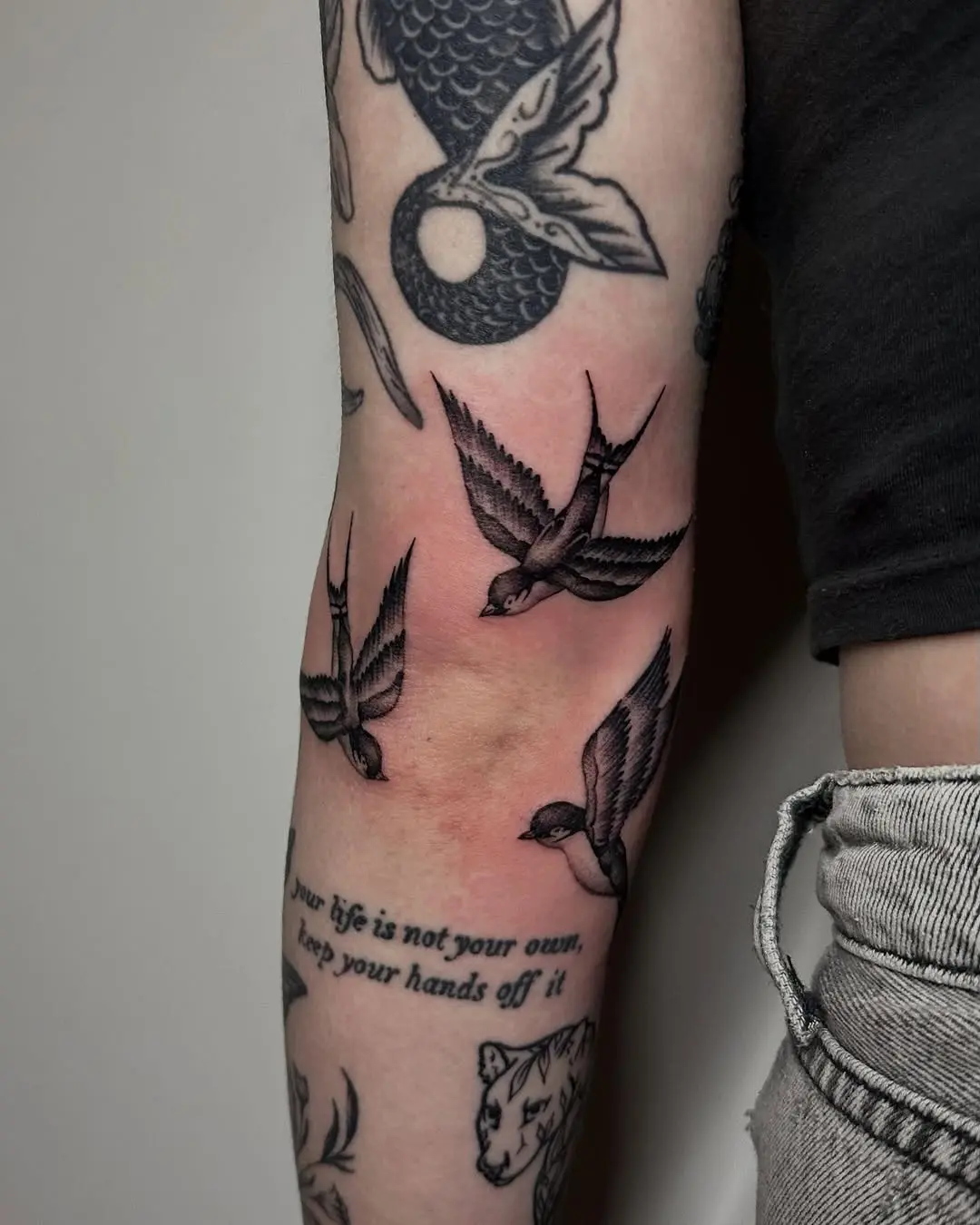 Elegant Swallow Designs Enhance Elbow Tattoos