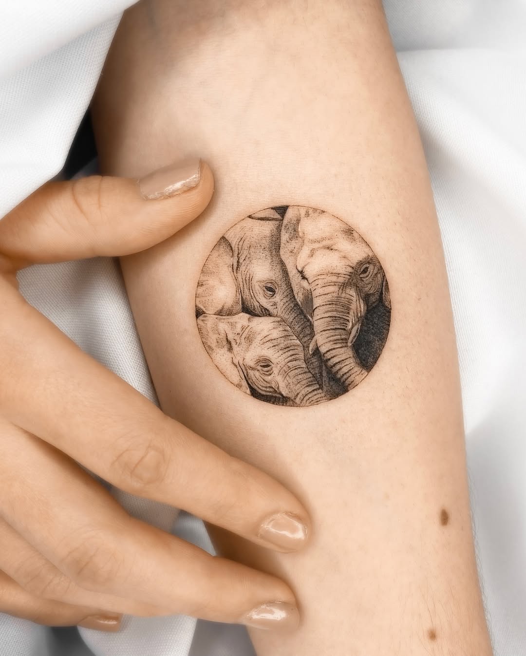 Symbolic family elephant tattoo in circular design