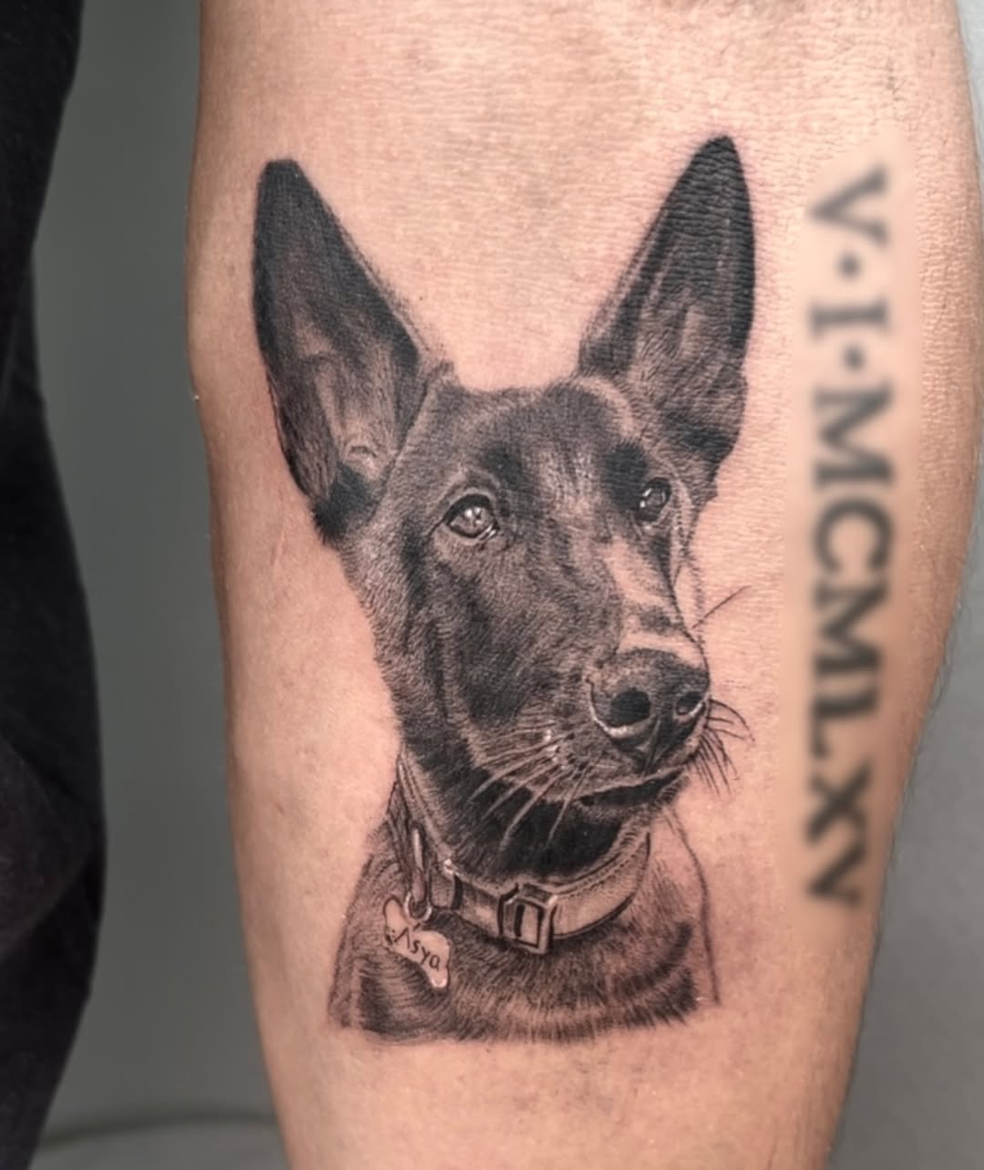 Stunning black and grey dog portrait tattoo