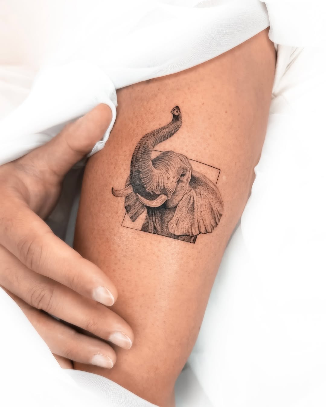 Stunning Realistic Elephant Tattoo on Arm