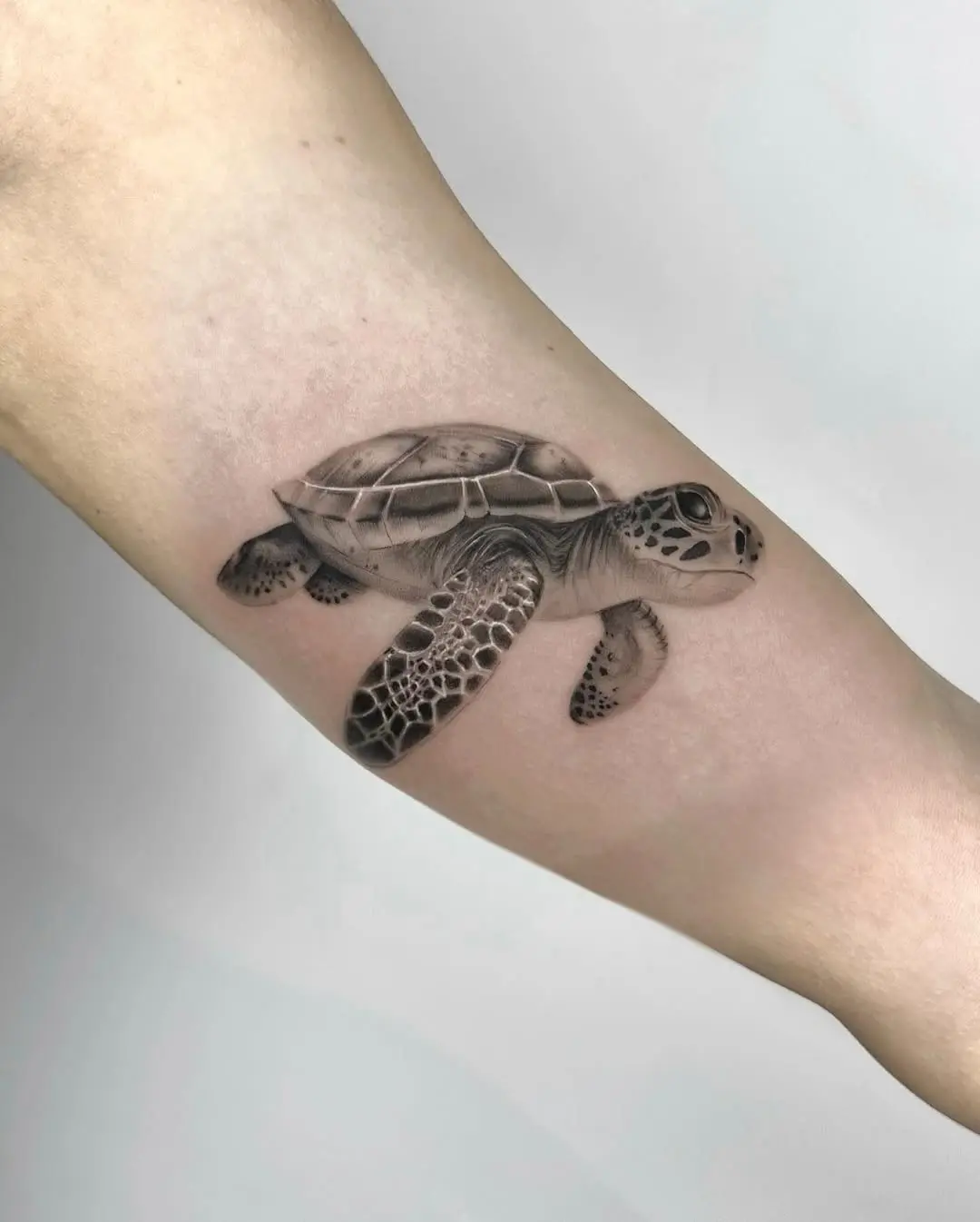 Stunning Realistic Sea Turtle Ink Design