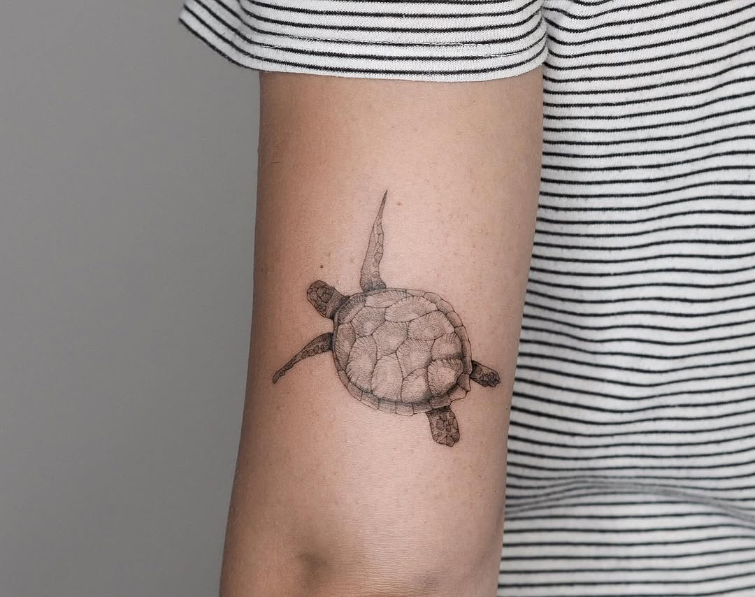 Realistic sea turtle tattoo on forearm