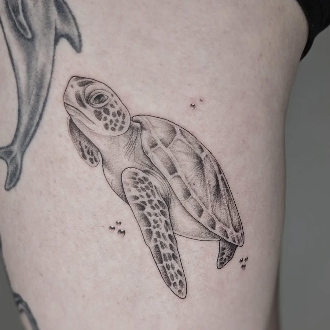 Elegantly crafted realistic turtle tattoo design