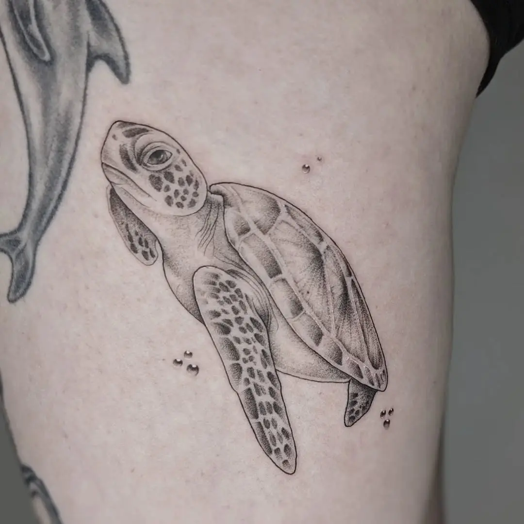 Elegantly crafted realistic turtle tattoo design