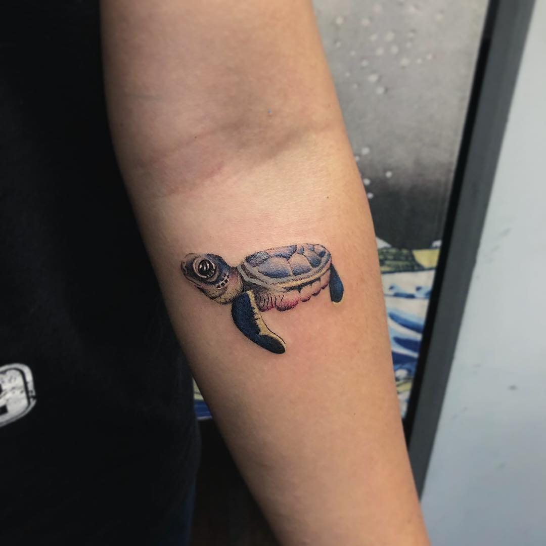 Charming realistic turtle tattoo on the forearm