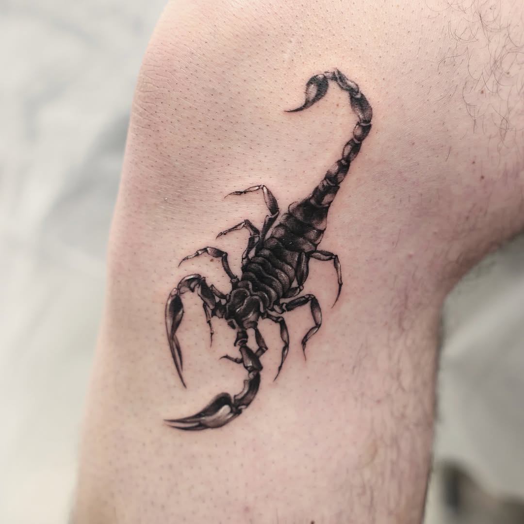 Detailed black ink Scorpio tattoo design