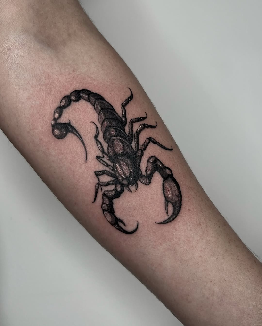 Bold and intricate Scorpio tattoo design on arm