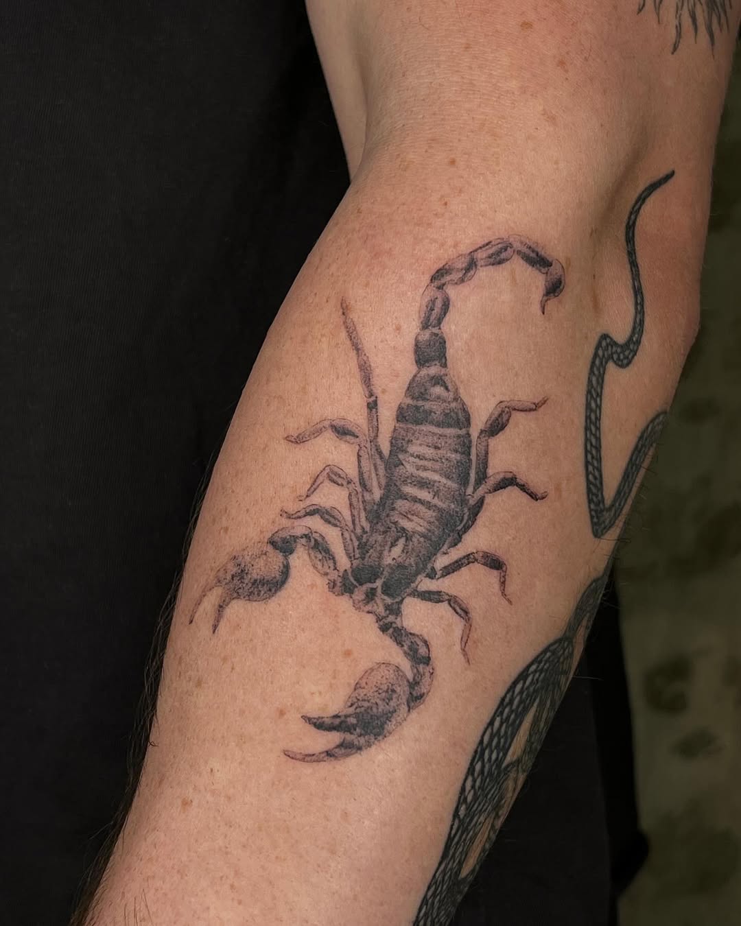 A striking realistic scorpio tattoo design