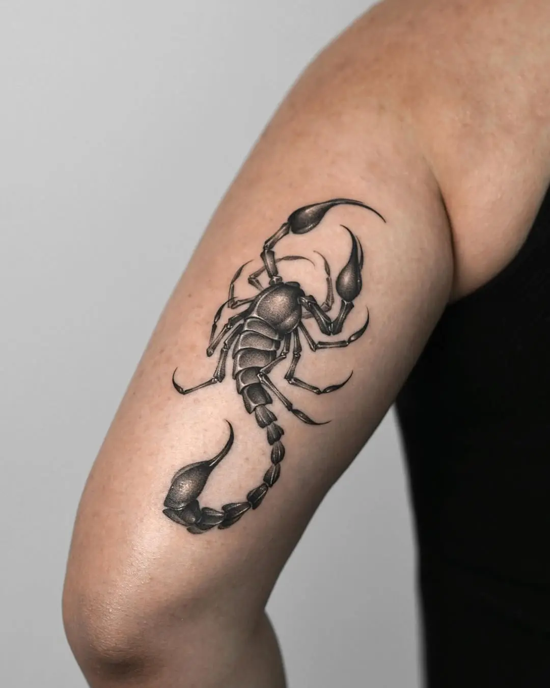 Elegant Scorpio Tattoo Showcasing Intricate Details